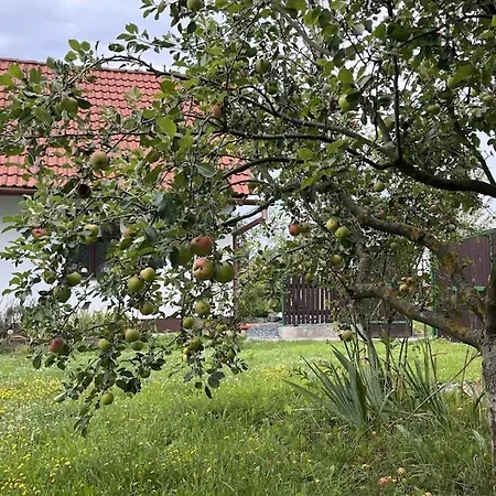 Ferienhaus In Village *
