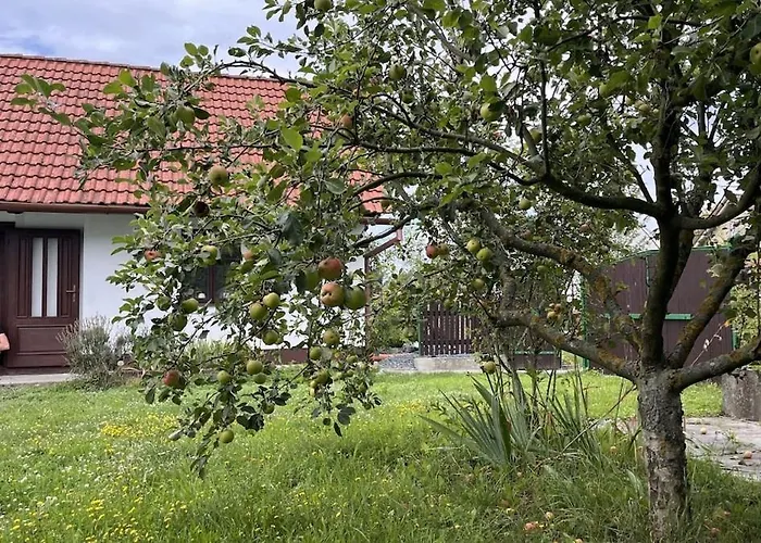 Tatil Evi In Velenice Village *